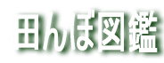 cڂ̐̐} 