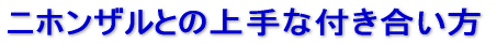 jzUƂ̏ȕt 